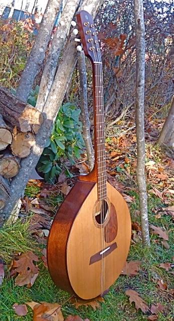 cittern-nov16